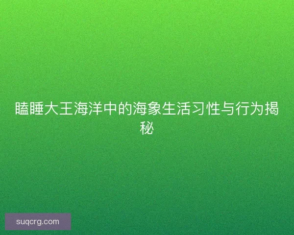瞌睡大王海洋中的海象生活习性与行为揭秘