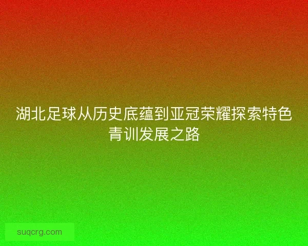 湖北足球从历史底蕴到亚冠荣耀探索特色青训发展之路 湖北足球从历史底蕴到亚冠荣耀探索特色青训发展之路