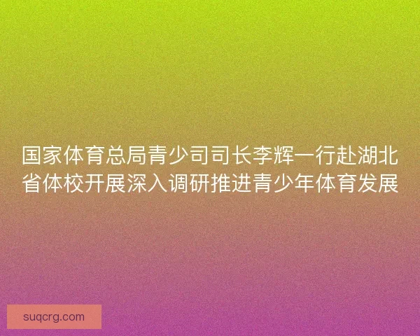 国家体育总局青少司司长李辉一行赴湖北省体校开展深入调研推进青少年体育发展 国家体育总局青少司司长李辉一行赴湖北省体校开展深入调研推进青少年体育发展